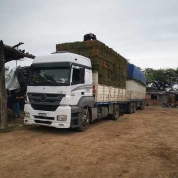 Fardos de Alfalfa Santiago del Estero