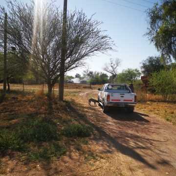 Campo ganadero en Garza, Santiago del Estero