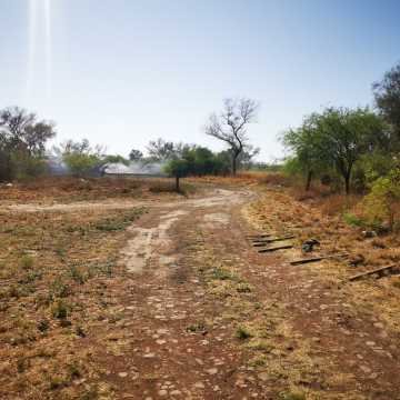 Campo ganadero en Garza, Santiago del Estero