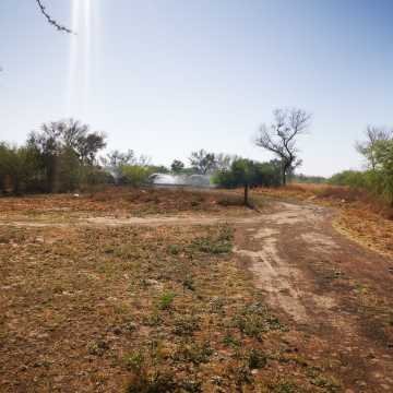 Campo ganadero en Garza, Santiago del Estero