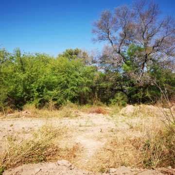 Campo ganadero en Garza, Santiago del Estero