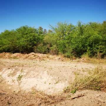 Campo ganadero en Garza, Santiago del Estero