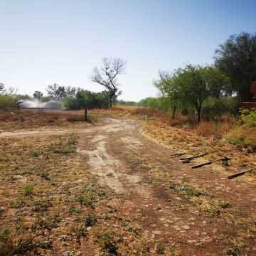 Campo ganadero en Garza, Santiago del Estero