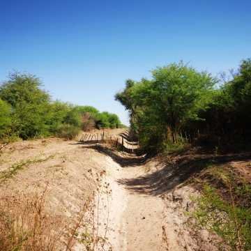 Campo ganadero en Garza, Santiago del Estero