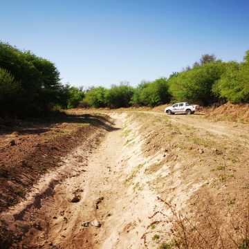 Campo ganadero en Garza, Santiago del Estero
