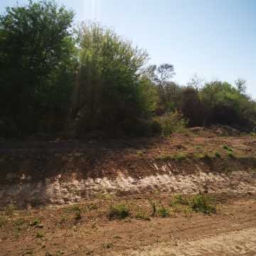 Campo ganadero en Garza, Santiago del Estero