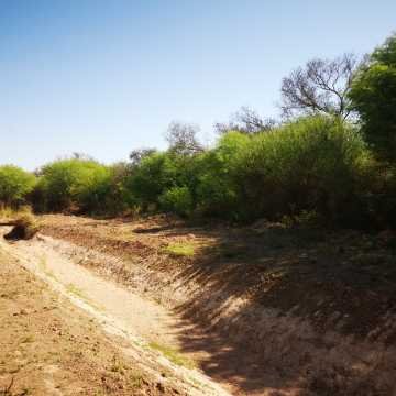 Campo ganadero en Garza, Santiago del Estero