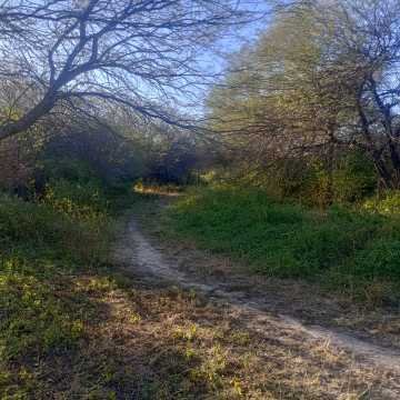 Chacra en el Tramo 18, Santiago del Estero