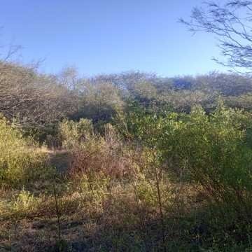 Chacra en el Tramo 18, Santiago del Estero