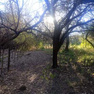 Chacra en el Tramo 18, Santiago del Estero