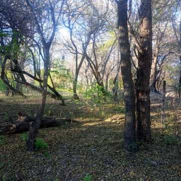 Chacra en el Tramo 18, Santiago del Estero