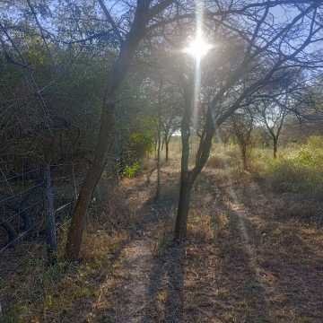 Chacra en el Tramo 18, Santiago del Estero
