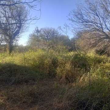 Chacra en el Tramo 18, Santiago del Estero