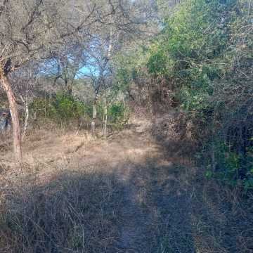 Chacra en el Tramo 18, Santiago del Estero