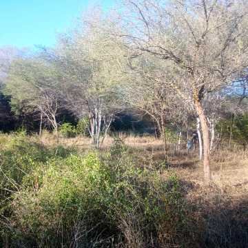 Chacra en el Tramo 18, Santiago del Estero