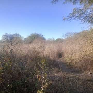 Chacra en el Tramo 18, Santiago del Estero