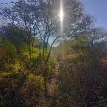 Chacra en el Tramo 18, Santiago del Estero