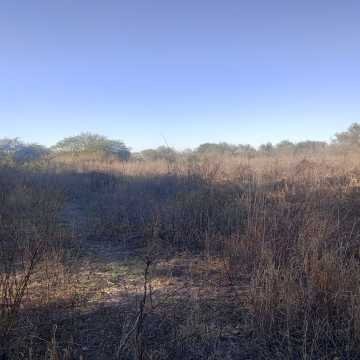 Chacra en el Tramo 18, Santiago del Estero