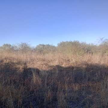 Chacra en el Tramo 18, Santiago del Estero