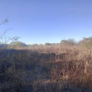 Chacra en el Tramo 18, Santiago del Estero