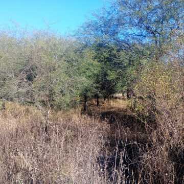 Chacra en el Tramo 18, Santiago del Estero