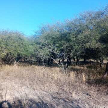 Chacra en el Tramo 18, Santiago del Estero