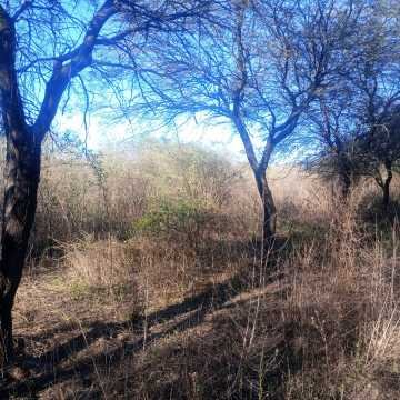 Chacra en el Tramo 18, Santiago del Estero