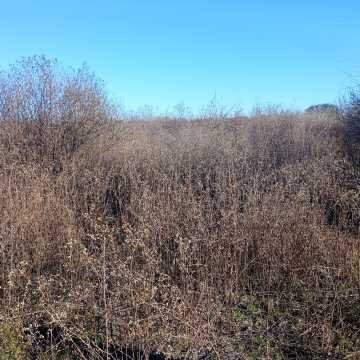 Chacra en el Tramo 18, Santiago del Estero