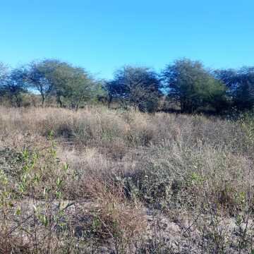 Chacra en el Tramo 18, Santiago del Estero