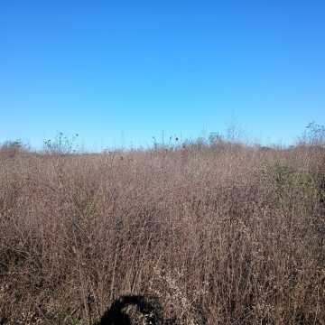 Chacra en el Tramo 18, Santiago del Estero
