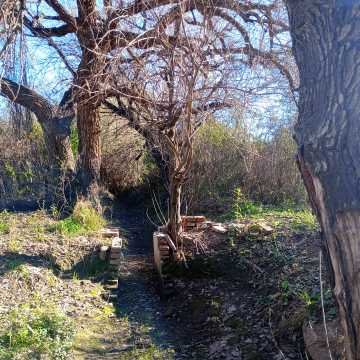 Chacra en el Tramo 18, Santiago del Estero