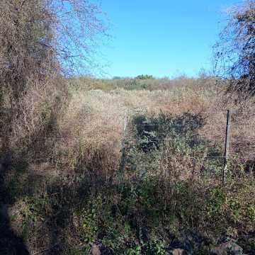 Chacra en el Tramo 18, Santiago del Estero