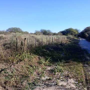 Chacra en el Tramo 18, Santiago del Estero