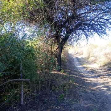 Chacra en el Tramo 18, Santiago del Estero