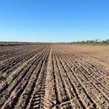 Chacra en el Tramo 18, Santiago del Estero