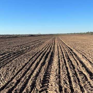 Chacra en el Tramo 18, Santiago del Estero