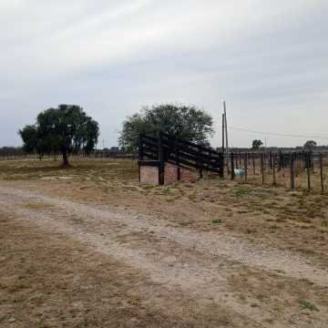 Feedlot en  Beltrán, Santiago del Estero
