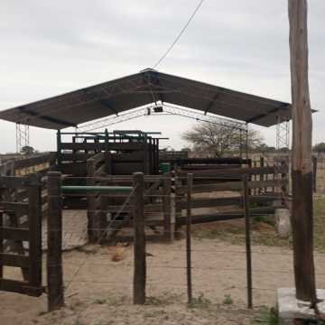 Feedlot en  Beltrán, Santiago del Estero