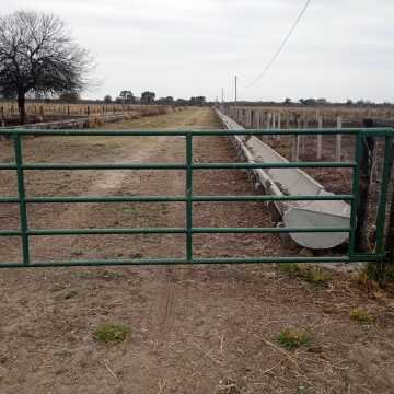 Feedlot en  Beltrán, Santiago del Estero