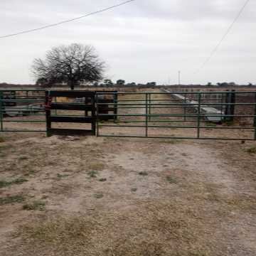 Feedlot en  Beltrán, Santiago del Estero