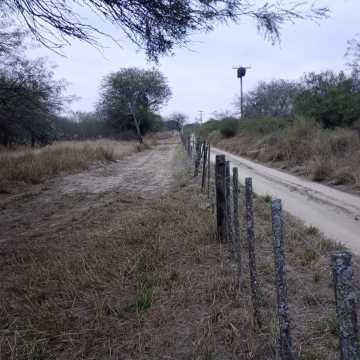 Feedlot en  Beltrán, Santiago del Estero