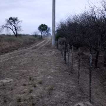 Feedlot en  Beltrán, Santiago del Estero
