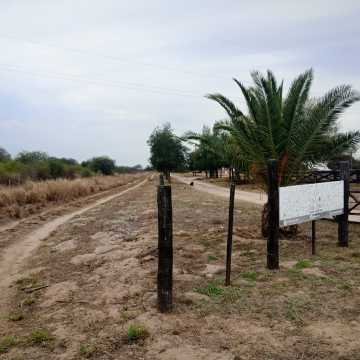 Feedlot en  Beltrán, Santiago del Estero