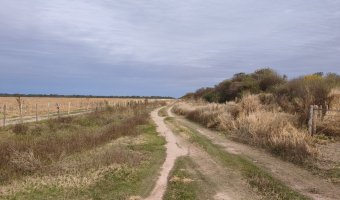 Campo Mixto en Amamá, Santiago del Estero