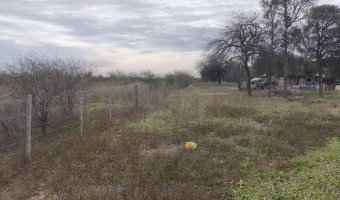 Campo Mixto en Amamá, Santiago del Estero