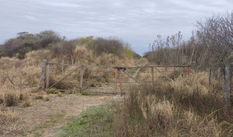 Campo Mixto en Amamá, Santiago del Estero