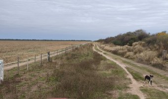 Campo Mixto en Amamá, Santiago del Estero