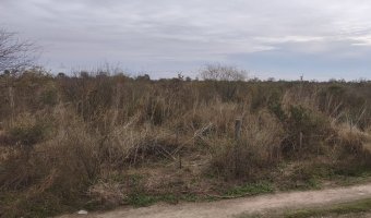 Campo Mixto en Amamá, Santiago del Estero