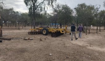 Campo Mixto en Amamá, Santiago del Estero