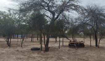 Campo Mixto en Amamá, Santiago del Estero